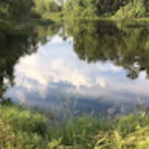 Meet your Posher, Wendy